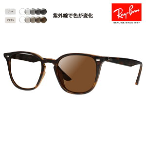yxtΉzCo TOX YZbg RB4258F 710/73 52 Ray-Ban ɒBKl ዾ EFg ttBbg