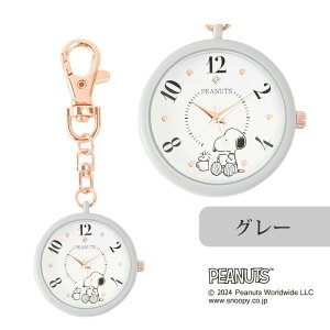 v Xk[s[ J[P[XKC EHb`G PNT049 PEANUTS 킢 fB[X EHb` v  L 蕨 v[g Mtg NX}X a