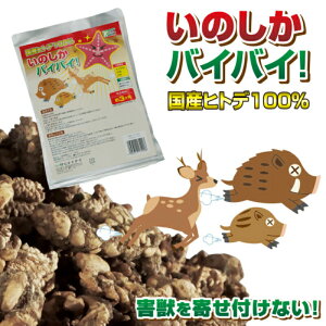 Qb쏜  CmVV΍ VJ΍ Yqgf100 ̂oCoCI 300g { VR ΍ CmVV쏜 CmVV Cmu^  ObY Q 앨Q bQ Q 