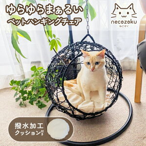 yr[Ttz ybg nLO`FA LbgnEX cat house LObY L ˂ Lpi L̂qL VjA