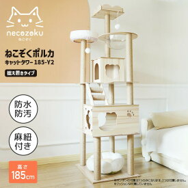 【レビュー特典付】キャットタワー キャットハウス ( necozoku ポルカ ) 木製 多頭飼い 宇宙船 クリアボウル 大型猫 据え置き おしゃれ かわいい 優しい シンプル 爪 研ぐ
