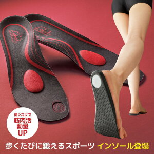 쎮 yl \[PRO X|[c C\[ G Or␮ O r C\[ Ռz ~ fB[X Y  X|[c V[Nbg ~ A[`T|[g pbh  