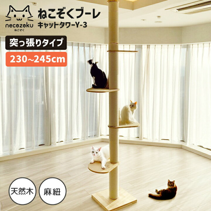 Amazon | SUMIKA キミの木シリーズ 突っ張り型木製キャットタワー 