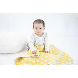 fuwara ZdD K[[Pbg iPFj Ђ˃TCY { 100%  ۈ牀 ct Ђ Ԃ xr[ V o[Vu  oYj