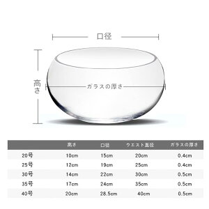  ی^ KX  e[u ANAE {E ϗtA e  CeA e IuWF eE ԕr t