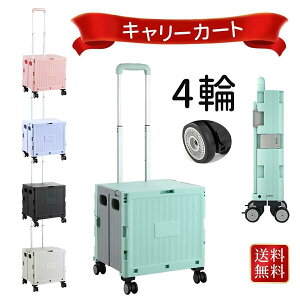 L[J[g ܂肽 Ki S  VbsOJ[g  e40L AEghA e ω׏d50kg LX^[t t^t