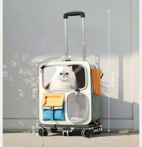 ybg bN L  L[ bN ybgL[ bN LX^[t obO gтɕ֗ Lp ^Ep [obO bN 45Le27X37X42cm t ʋC s