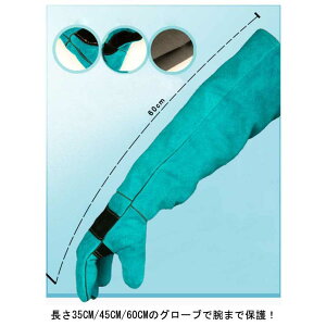 y10% OFFN[|zybg L ybgO[u  ݂h~  Iׂ钷 h~  35cm 45cm ybg ~ 60cm  ঒ޗp v 