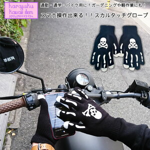 HARAJUKU Kawaii Item X}z ^b` O[u XJ  {[  ubN  oCNp K[fjOp h I bN