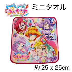楽天市場 プリキュア タオルの通販
