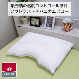 yzЂ  AEgXg njJ pCv MTCY 43×63cm {  EHbVu ڐG⊴ Ђ  K N[   g }N tBbg т C