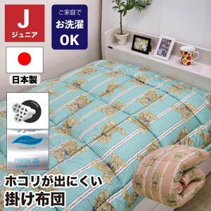 y9/25()10%OFFN[|zzz􂦂 |zc WjA 135×185cm { _N(R) FRESH 4 CxA[ xA ܕ ӂ^Cv 􂦂|zc   AM[Ή zR
