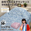 【6/15(日)10%OFFクーポン配布中】洗えるダウンケット　シングルサイズ　ご家庭の洗濯機で洗える羽毛肌掛け布団　(ウォッシャブル 夏 洗える布団 掛け布団 羽毛布団 掛布団 洗える 丸洗いok 丸洗い)