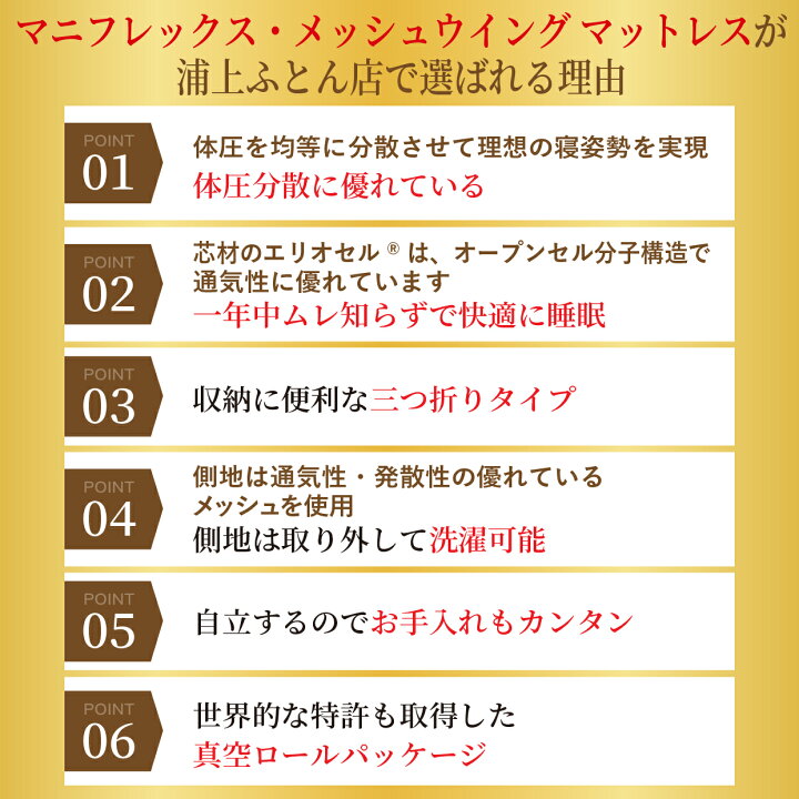 楽天市場】【4/4 20時〜ポイント2倍】【10年保証】【正規販売店 
