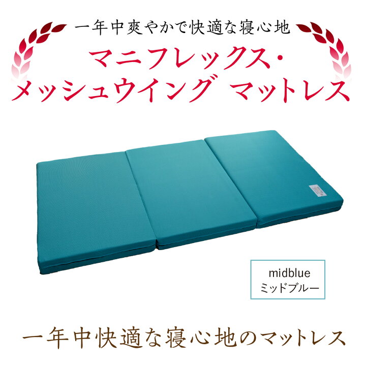 楽天市場】【4/4 20時〜ポイント2倍】【10年保証】【正規販売店 