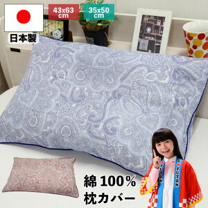 y10%OFFN[|zzzy^[pbNCgsz{ 100 Jo[ 43×63cm 35×50cm ԕ yCY[ t@Xi[ sP[X ܂Jo[