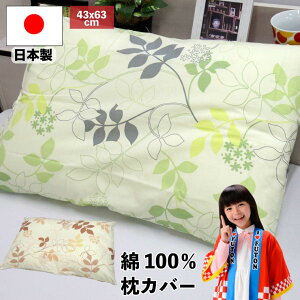 y10%OFFN[|zzzy^[pbNCgsz{ 100 Jo[ 43×63cm [t t@Xi[ sP[X ܂Jo[