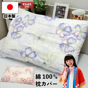 y10%OFFN[|zzzy^[pbNCgsz{ 100 Jo[ 43×63cm |s[ ԕ t@Xi[ sP[X ܂Jo[