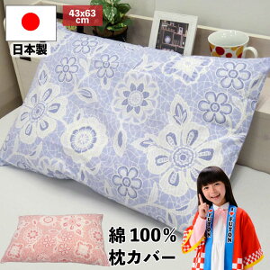y10/5() 10%OFFN[|zzzy^[pbNCgsz{ 100 Jo[ 43×63cm CX Ђ܂ ԕ t@Xi[ sP[X ܂Jo[