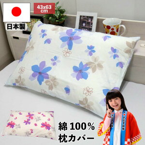 y9/25()10%OFFN[|zzzy^[pbNCgsz{ 100 Jo[ 43×63cm RX ԕ t@Xi[ sP[X ܂Jo[
