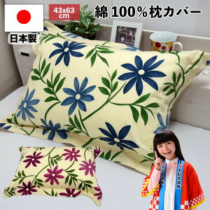 y^[pbNCgsz{ 100 Jo[ 43×63cm Vr sybilla J| ԕ 킹 킹 sP[X ܂Jo[
