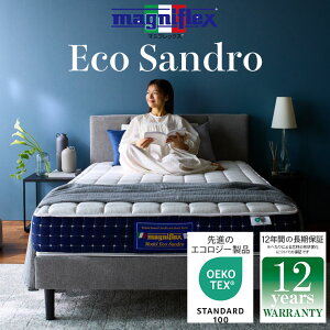 y12/4 20`|Cg5{zy 12Nۏ zyK̔XzyzGRTh }jtbNX magniflex }bgX {㗤30NLO胂f xbh}bg 12Nۏ ɑ΍ 