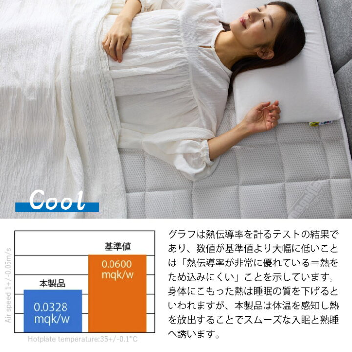 楽天市場】【5/9 20時〜ポイント2倍】マニフレックス magniflex エコ 