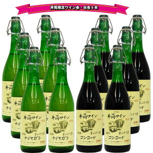 䓛C Y@Ԃǂ@C@2025@12{Zbg6{E6{720ml@6Zbg@NX}X  p[eB@CCLO 1 i1/12 13:21j