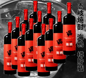 Ci25Kj720ml򔞏Ē/12{@̎@ssZ[