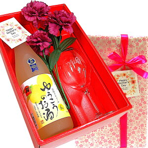 䂤̂720mlEOX{t Mtg Zbg   ̃t[c F݂̂