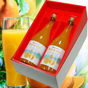 ݂@100%W[X@v~A720ml 2{@Ε Mtg  hV a