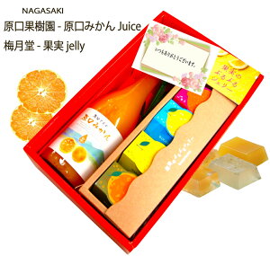 100%原口みかんジュース&長崎果実ぷるぷるゼリーセット お中元 御歳暮 母の日