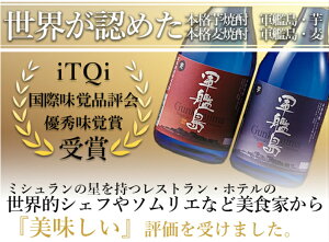 軍艦島ITQI