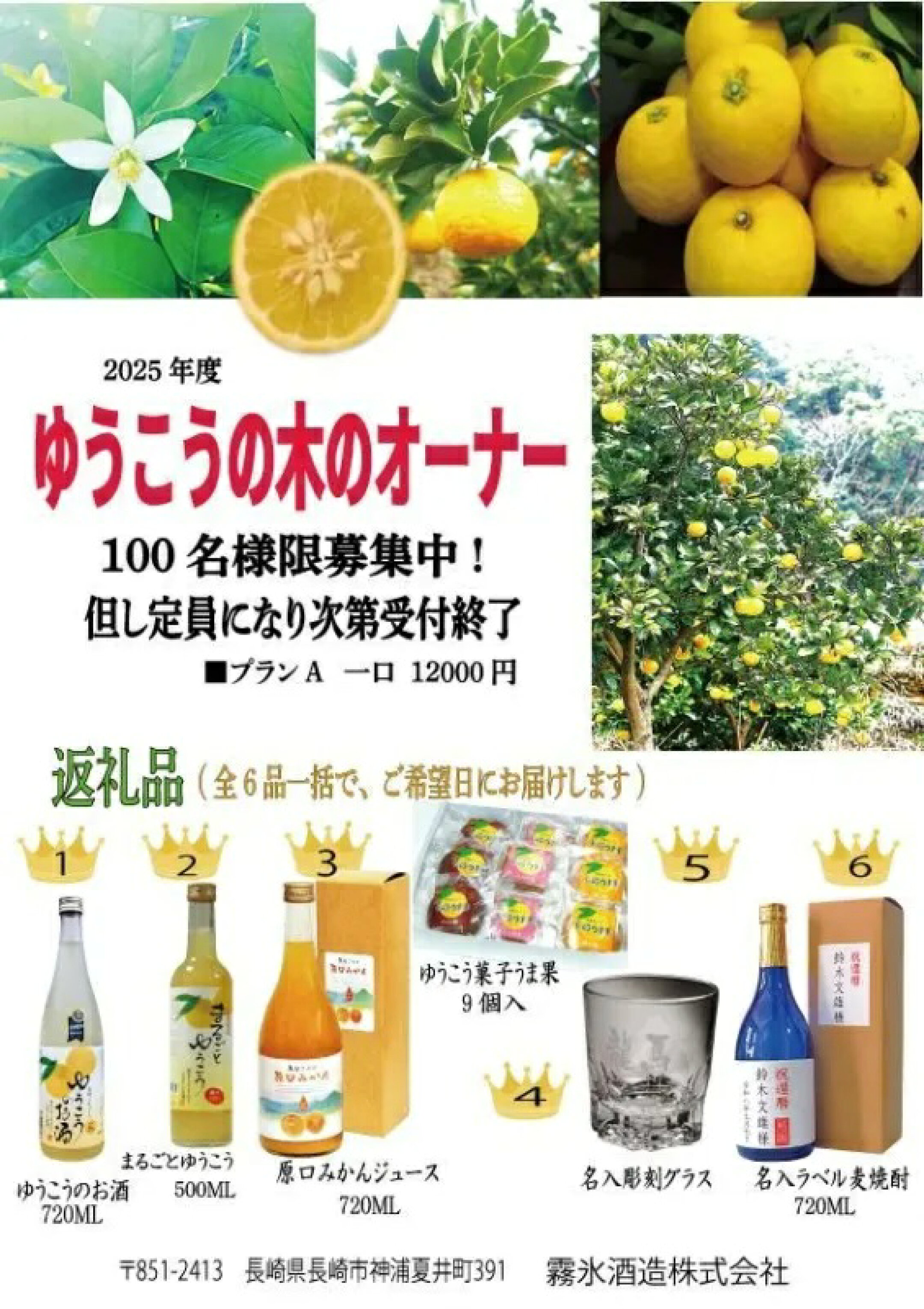 外海地区の生産者の方々とゆうこうの加工商品を開発し販売に取り組み、年々原料が不足していく状況で自社栽培を増加させ苗木を作って収穫までに約5年!そこで、企画いたしました。オーナー様には、1年間ゆうこうの木の様子に思いを馳せながらゆうこうをお楽しみください 