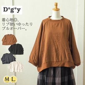 リブ使いゆったりプルオーバー Dgy / ダブルフェイスワイドプルオーバー 長袖 ブラウス レディース 秋冬 お部屋着にも シンプル ガーゼ ナチュラル 大人カジュアル 秋 冬 初秋 ◆ ディージーワイ