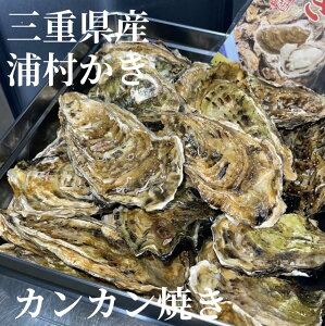 yzyⓀzOdY Mp Y JJĂi 1ʂɖ50ji4A5lOj OYSTER  y ɐu CN L BBQ o[xL[ 蕨 Ε j av