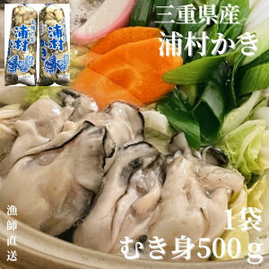 y\̔zyyzyHpz OdY Y ނgi500gj1 y OYSTER y JLtC |y CN L BBQ o[xL[ 蕨 Ε j av[g ̓ 