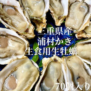 yzyyzyHpzOdY Y kt M`LTCY70 i7.7KgOji7`15lOjy OYSTER  y ɐuY CN L BBQ o[xL[ 蕨 