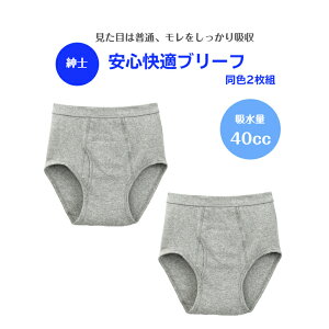 【紳士】安心快適ブリーフ(2枚組)男性用下着・パンツ高齢者の不安を解決!シニア層の方々が嬉しい機能!