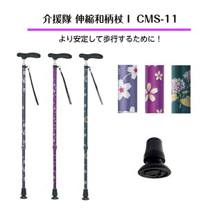 @LkaI@CMS-11słA肵ĕs邽߂ɁI   VjA s  ₷ U ɂ̓ hV̓ NX}X v[gMtg 