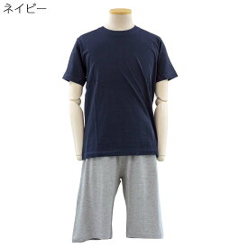 天竺 半袖 Tシャツ ハーフパンツ リラックス ルームウェア 上下セット メンズ シニアファッション 紳士服 70代 80代 90代 高齢者 服 男性 普段着 部屋着 お年寄り おしゃれ着 外出着 介護 衣料 入院 紳士 敬老の日 父の日