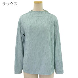 日本製 マジョリカプリーツ 長袖 丸首 Tシャツ カットソー ロンT 婦人 レディース シニア ●トップス 刺繍名入れ無料 敬老の日 母の日のギフトにも 高齢者向けファッション 70代 80代の老人 介護向け 90代 シニアファッション 施設 介護 春夏 おばあちゃん お年寄り 高齢者