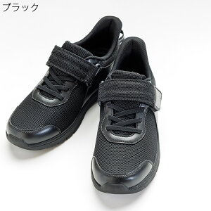  CtXebv {ݗp Oop 3E C C V[Y Y fB[X VjA t@bV ̓ ̓ 70 80 90 VjAt@bV VjA  ߗ pi Vl 