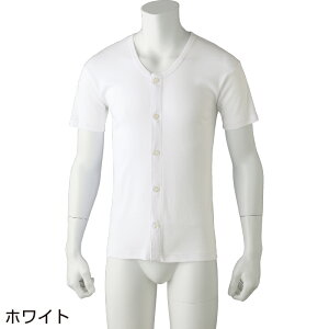 am 傫߃{^Vci2gj 씧 Vc  hV̓ p @ 쉺 