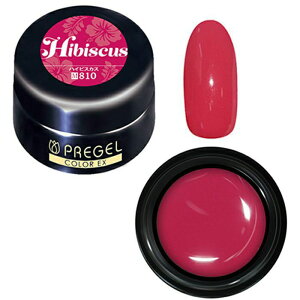 �v���W�F�� �J���[EX�^�n�C�r�X�J�X�^3g �W�F���l�C�� �v���W�F�� PREGEL �J���[EX PG-CE810 �J���[ �F �g�����h �Y�� �t �� �H �~ �J���[�W�F�� �}�b�g �v���W�F���J���[ �s���N �� �t�����[�V���[