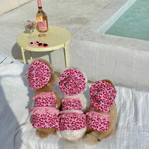 [yHi YeboozLeopard Bikini ؍ uh 킢  v[g ^  s[X NEW t  