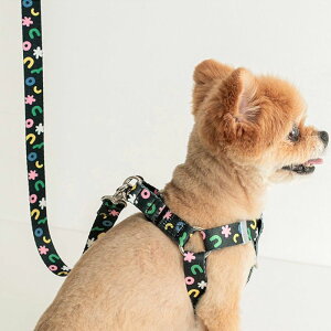 \̔yBITE MEzBITE ME × PPP STUDIO - Hands Free Leash ؍ pi hbOObY [h U[h p[h ̃[h j nYt[ |GXe ϋv