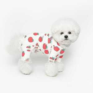 \̔yTUSTUSzApple All In One  hbOEFA ̕ ^ ^ pi hbOObY ؍ t ĕ