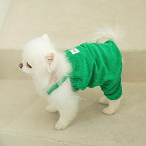 \̔yOUNCEzterry all in oneiGreenj ؍ pi hbOObY TVc X[uX hbOEFA  ̕ ^ ^