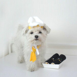 即納【dingdog】コック帽&コックタイSET 韓国 ブランド かわいい おしゃれ プレゼント 小型犬 おもちゃ キャラクター NEW 丈夫 犬